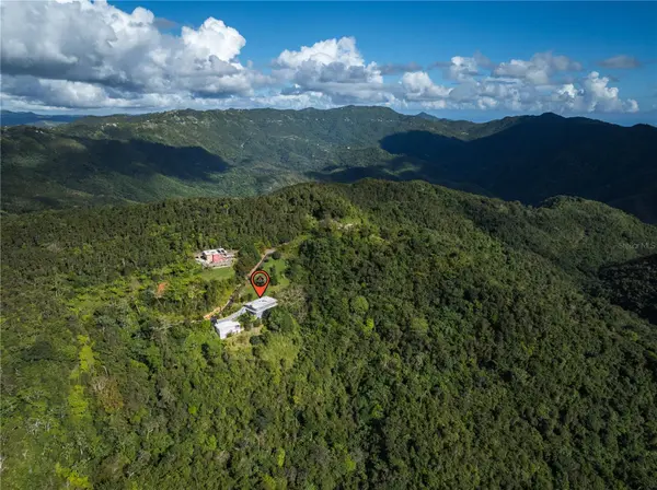 Carretera 715 KILOMETRO 3.7, Cayey, PR 00736
