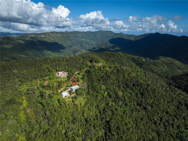 Carretera 715 KILOMETRO 3.7, Cayey, PR 00736
