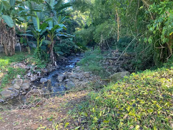 Carr. 108, Camino Adelina BO. RÍO CAÑAS, Mayaguez, PR 00680