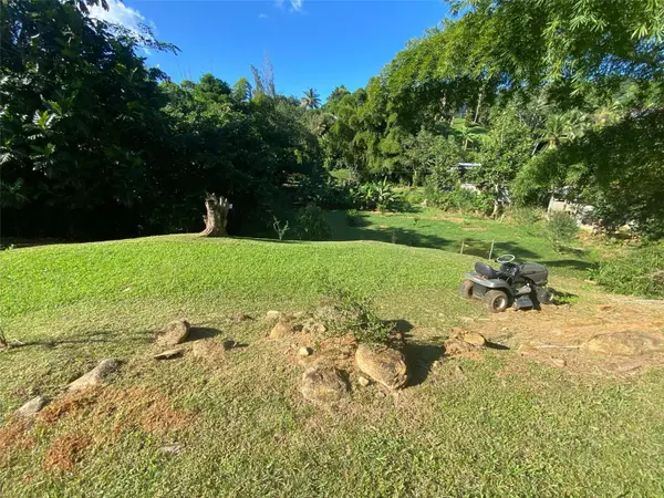 Carr. 108, Camino Adelina BO. RÍO CAÑAS, Mayaguez, PR 00680