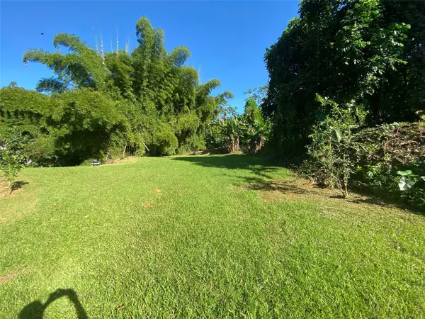 Carr. 108, Camino Adelina BO. RÍO CAÑAS, Mayaguez, PR 00680