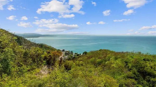 ROAD 115, Anasco, PR 00610