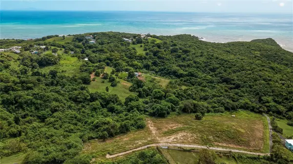 Lots 8, 11, 11A, 11B, 11C CAMINO NUEVO, Yabucoa, PR 00767