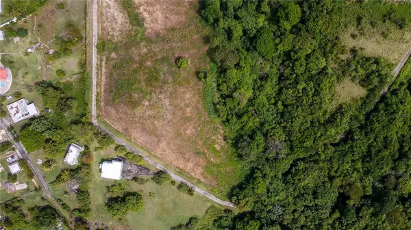 Lots 8, 11, 11A, 11B, 11C CAMINO NUEVO, Yabucoa, PR 00767