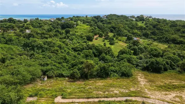 Lots 8, 11, 11A, 11B, 11C CAMINO NUEVO, Yabucoa, PR 00767
