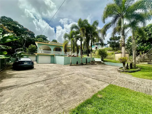 Road181 Km10.3 Queb.Honda ROAD 181 KM 10.3 QUEBRADA HONDA, San Lorenzo, PR 00754