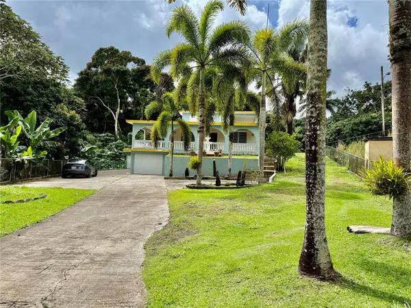 Road181 Km10.3 Queb.Honda ROAD 181 KM 10.3 QUEBRADA HONDA, San Lorenzo, PR 00754