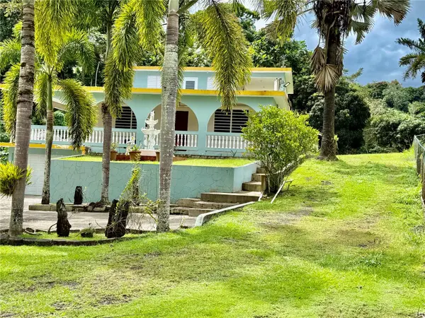 Road181 Km10.3 Queb.Honda ROAD 181 KM 10.3 QUEBRADA HONDA, San Lorenzo, PR 00754
