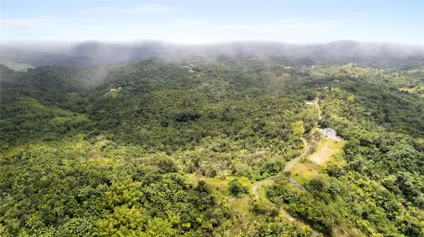 KM 14.7 CARR 179, Guayama, PR 00784