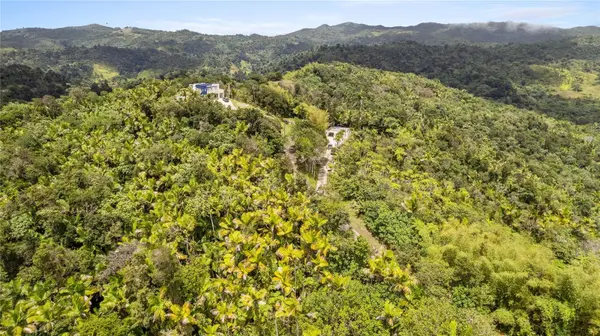 KM 14.7 CARR 179, Guayama, PR 00784