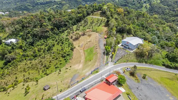788 BO QUEMADO SECTOR AIRES RD, San Lorenzo, PR 00754