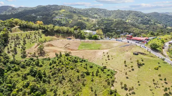 788 BO QUEMADO SECTOR AIRES RD, San Lorenzo, PR 00754