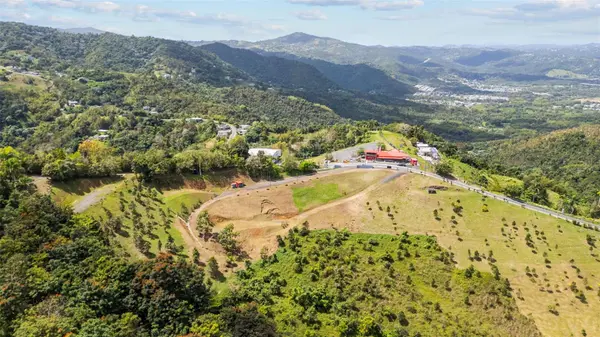 788 BO QUEMADO SECTOR AIRES RD, San Lorenzo, PR 00754
