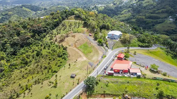 788 BO QUEMADO SECTOR AIRES RD, San Lorenzo, PR 00754