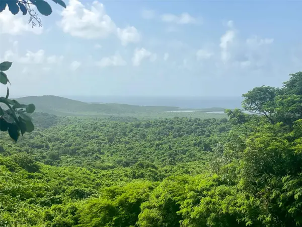 309 CALLE PAPO FOSTER, Vieques, PR 00765