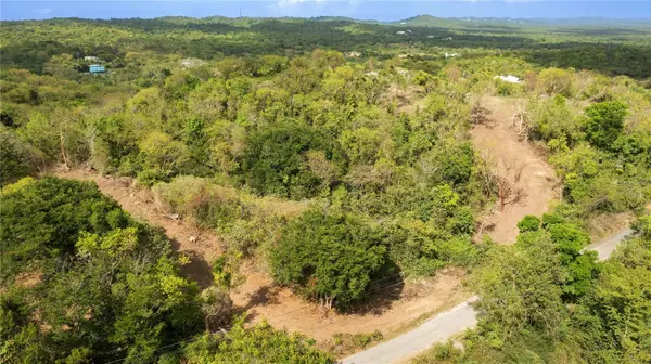 173 LA LLAVE ROAD, Vieques, PR 00765