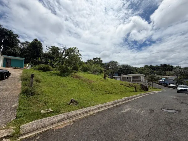 Villa Encantada 4.4 CARR 787, Cidra, PR 00739