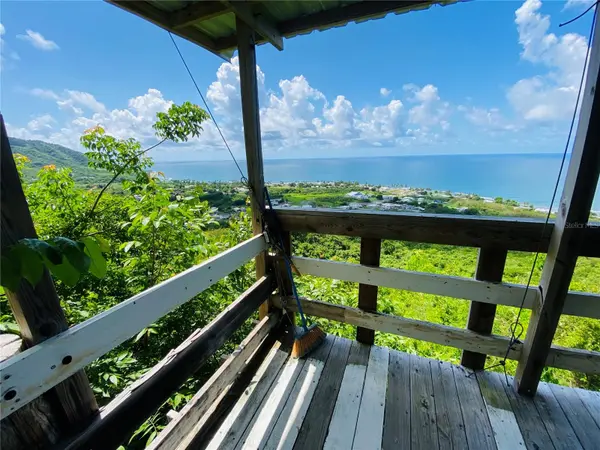 FARM AMAZING OCEAN VIEW, Patillas, PR 00723