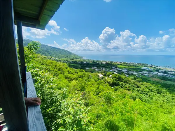 FARM AMAZING OCEAN VIEW, Patillas, PR 00723