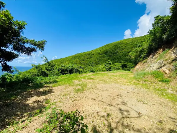 FARM AMAZING OCEAN VIEW, Patillas, PR 00723