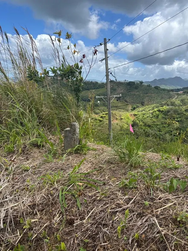 BO. INDIERA BAJA, Maricao, PR 00606