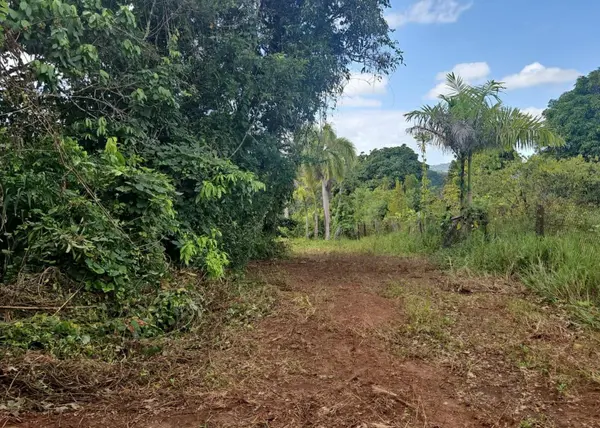 14, CAMINO FRANK ORTIZ KM 12.3, Mayaguez, PR 00680