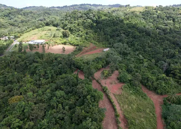 14, CAMINO FRANK ORTIZ KM 12.3, Mayaguez, PR 00680
