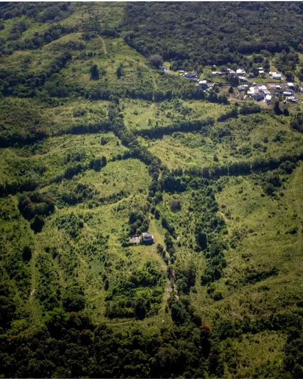 Carr 119 INT. 448 KM 3.7 RD, San Sebastian, PR 00685