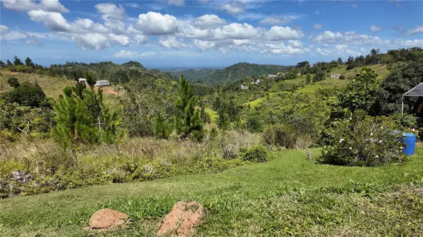 Carr 155 KM 33.1 INT BO. GATO, Orocovis, PR 00720