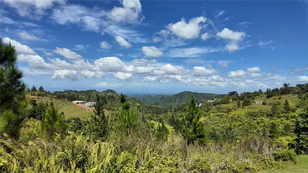 Carr 155 KM 33.1 INT BO. GATO, Orocovis, PR 00720