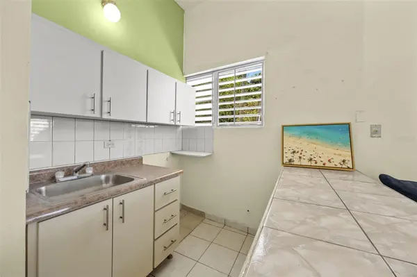 303 Calle El Salto EL SALTO, Anasco, PR 00610