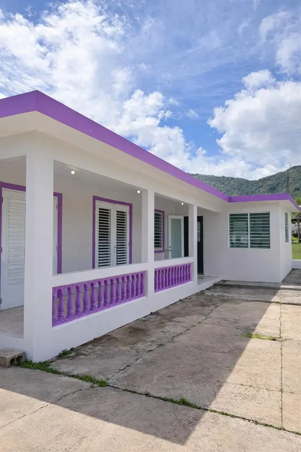 PR 7758 BO. GUARDARRAYA, Patillas, PR 00723