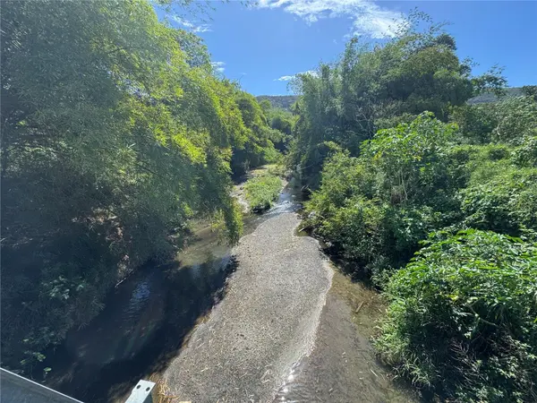 PR-335, Guayanilla, PR 00656