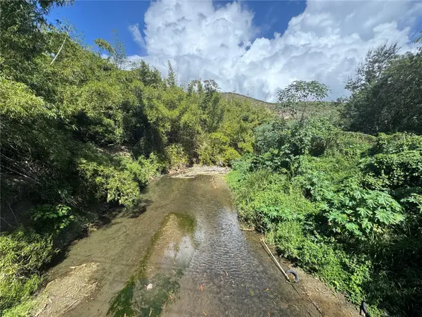 PR-335, Guayanilla, PR 00656