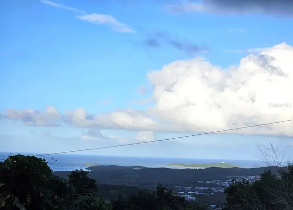 985 KM 1.6 INTERIOR QUEBRADA FAJARDO, Fajardo, PR 00738