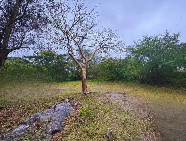 Calle #10 COMM MONTE SANTO P-2, Vieques, PR 00765