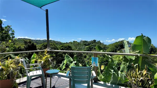 412 CARR EL COQUI, Rincon, PR 00677