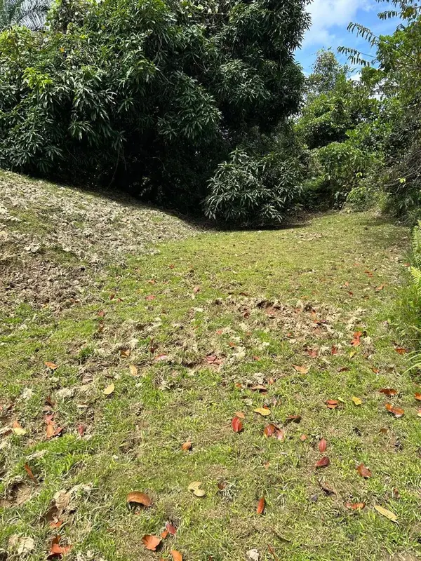 PR 9989 INT, Luquillo, PR 00773