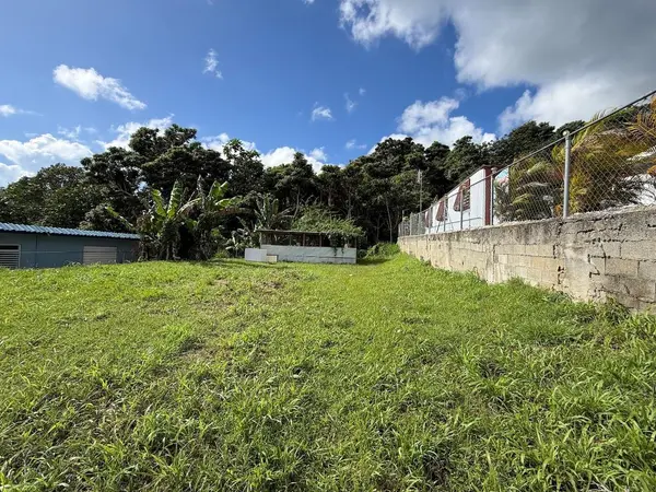 PR-759 (Int) CALLE 5 LOTE 269, Maunabo, PR 00707