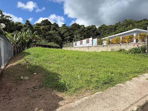PR-759 (Int) CALLE 5 LOTE 269, Maunabo, PR 00707