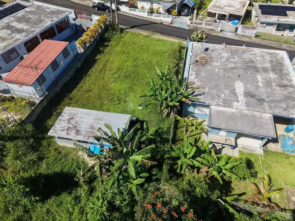 PR-759 (Int) CALLE 5 LOTE 269, Maunabo, PR 00707