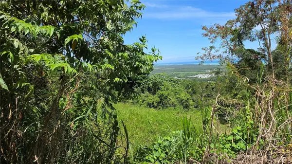 Zarzal Arriba CARR. 966 KM 2.3 #K, Rio Grande, PR 00745