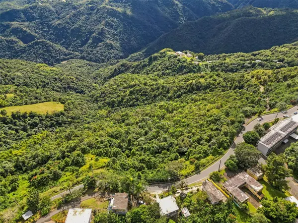Carr 156 Km 20.1 INTERIOR BO HONDURAS, Barranquitas, PR 00794