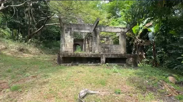 PR-354 KM 6.4 MARINI COMMUNITY - QUEMADO WARD, Mayaguez, PR 00680
