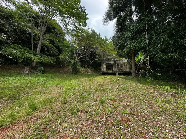 PR-354 KM 6.4 MARINI COMMUNITY - QUEMADO WARD, Mayaguez, PR 00680