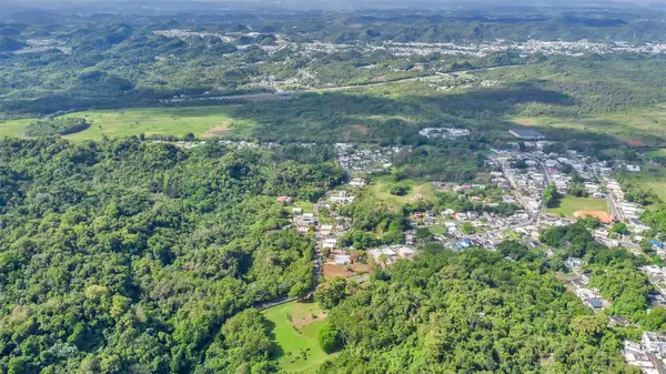 Km 3.6 695, Dorado, PR 00646