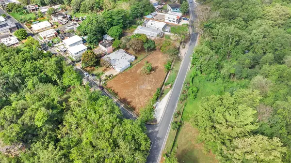 Km 3.6 695, Dorado, PR 00646