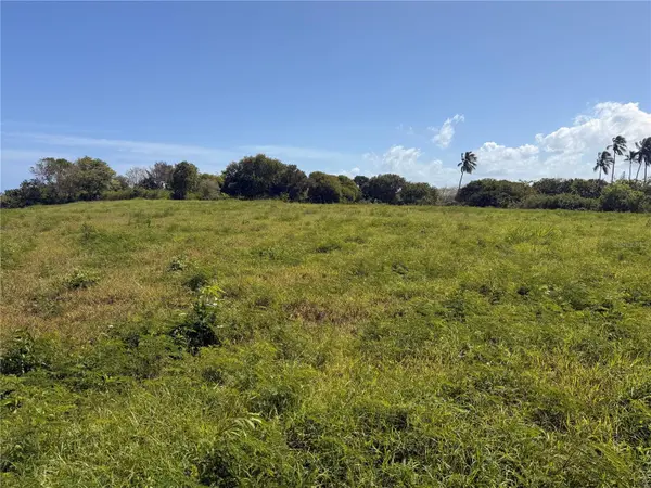 459 POZO DULCE, Isabela, PR 00662