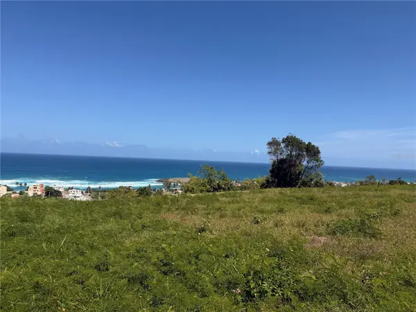 459 POZO DULCE, Isabela, PR 00662