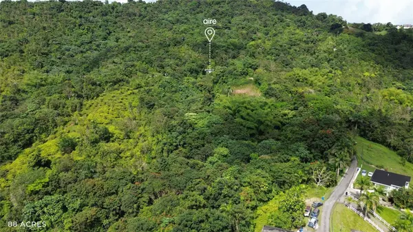 PR-181 km 11.0 CAYAGUAZ, San Lorenzo, PR 00754